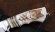 Коллекционный Нож Акела сталь Elmax рукоять рог лося кость мамонта, мельхиор