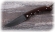 Складной нож Таежник, сталь Х12МФ, рукоять накладки коричневый граб