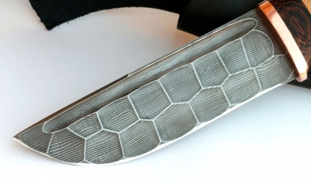 IMG_8979.jpg IMG_8979.jpg