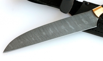 IMG_9069.jpg IMG_9069.jpg