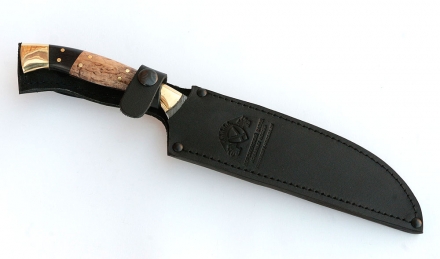 IMG_9070.jpg IMG_9070.jpg