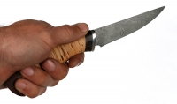 Нож Филейка малая сталь дамаск, рукоять береста дюраль - _MG_4996.jpg