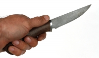 Нож Филейка малая сталь дамаск, рукоять венге дюраль - _MG_5003.jpg