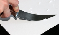 Нож Филейка малая сталь дамаск, рукоять венге дюраль - IMG_5393.jpg