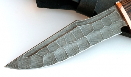 IMG_8974.jpg IMG_8974.jpg