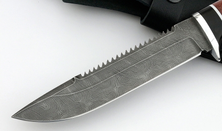 _MG_2886ca.jpg _MG_2886ca.jpg