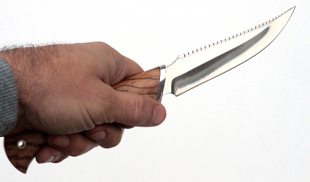 _MG_1183.jpg _MG_1183.jpg