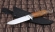 Нож Голец сталь 95Х18, рукоять карельская береза коричневая + янтарная