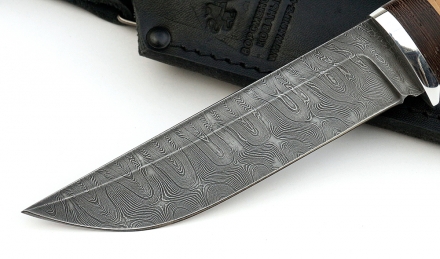 _MG_2788.jpg _MG_2788.jpg