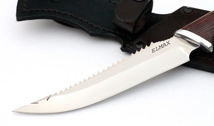 _MG_1196.jpg _MG_1196.jpg