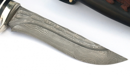 _MG_6737a8.jpg _MG_6737a8.jpg