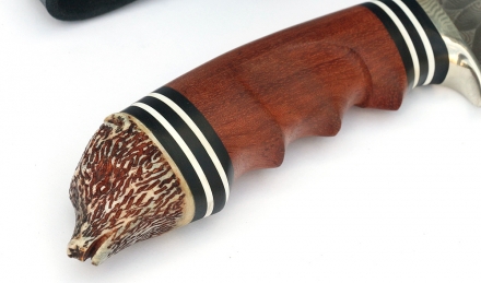 _MG_6738p2.jpg _MG_6738p2.jpg