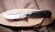 Нож Складной на подшипнике Пчак сталь M390, накладки черный граб