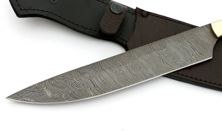 _MG_6235.jpg _MG_6235.jpg