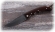 Нож складной Таежник, сталь Х12МФ, рукоять накладки коричневый граб
