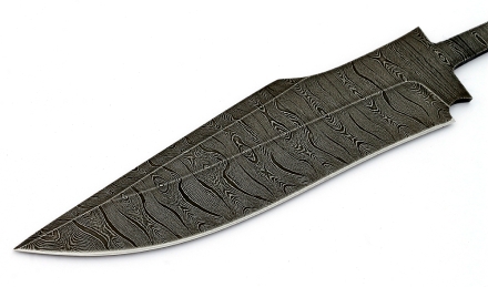 _MG_0546aq.jpg _MG_0546aq.jpg