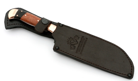 _MG_6220.jpg _MG_6220.jpg