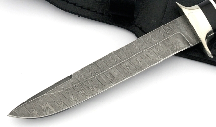 _MG_3113.jpg _MG_3113.jpg