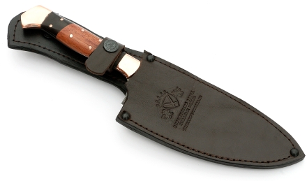 _MG_6207.jpg _MG_6207.jpg