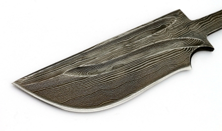 _MG_0656.jpg _MG_0656.jpg