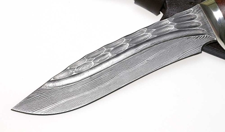 _MG_0599xi.jpg _MG_0599xi.jpg