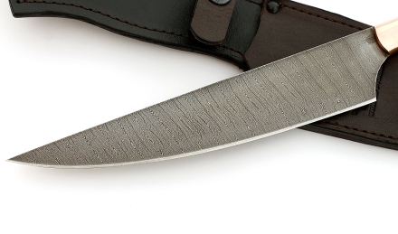 _MG_85490j.jpg _MG_85490j.jpg