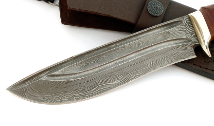 _MG_2159.jpg _MG_2159.jpg