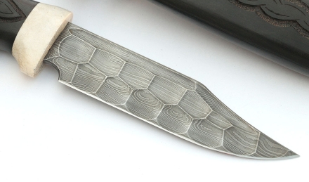 _MG_9467rq.jpg _MG_9467rq.jpg