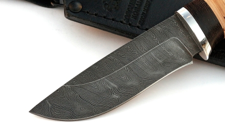 _MG_2615.jpg _MG_2615.jpg