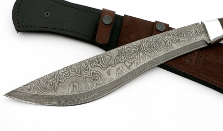 _MG_2868.jpg _MG_2868.jpg