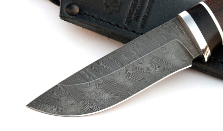 _MG_2623.jpg _MG_2623.jpg