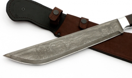 _MG_2876.jpg _MG_2876.jpg