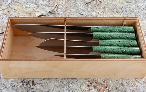 Набор кухонных ножей из стали 95Х18 с рукоятью из зеленого акрила в футляре Набор кухонных ножей из стали 95Х18 с рукоятью из зеленого акрила в футляре