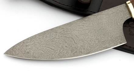 _MG_6040.jpg _MG_6040.jpg