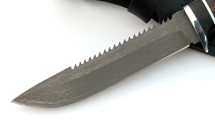 IMG_4488.jpg IMG_4488.jpg