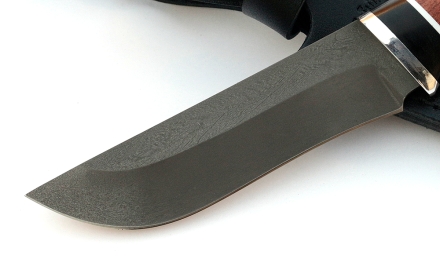 _MG_3585.jpg _MG_3585.jpg