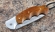 Нож Ястреб, складной, сталь Elmax, рукоять накладки карельская береза стабилизированная янтарь