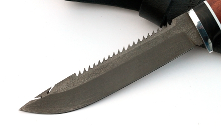 IMG_4495.jpg IMG_4495.jpg