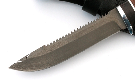 IMG_4499.jpg IMG_4499.jpg